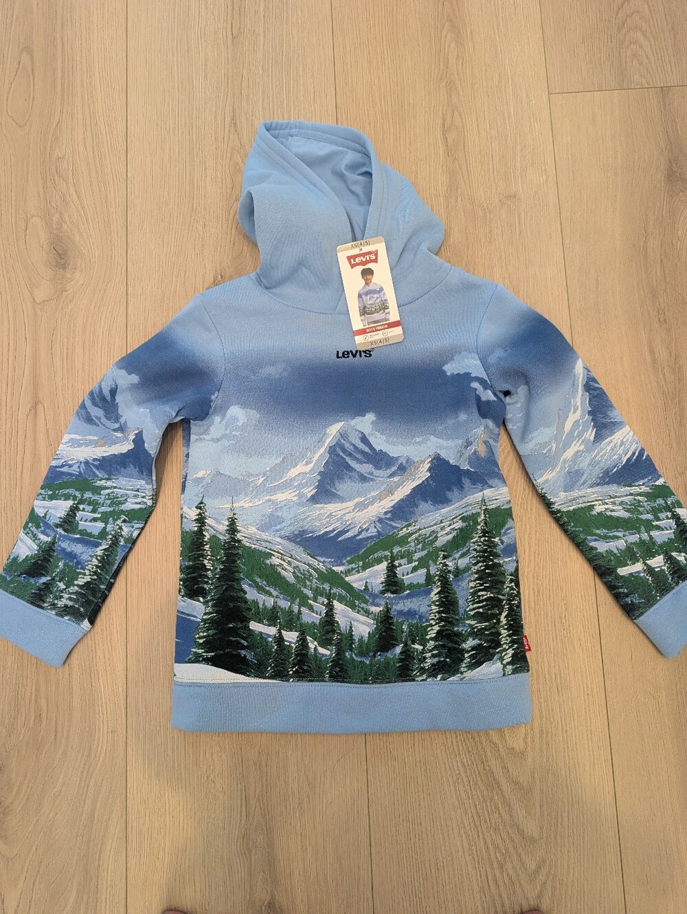 Boys Levi's Light Blue Mountain Scenic Hoodie Sweater 0208